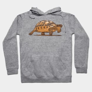 Cartoon Portrait Of Wild Baby Tortoise Plodding Hoodie